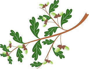 Image showing Oak branch