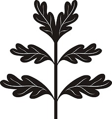 Image showing Black oak branch