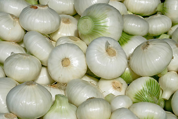 Image showing Onion