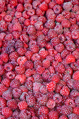 Image showing Raspberry