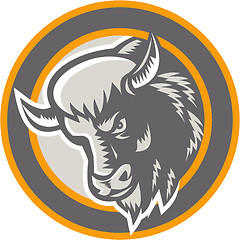 Image showing American Buffalo Bison Head Circle Retro