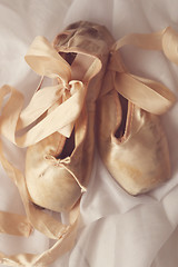 Image showing Posed Pointe Shoes in Natural Light 