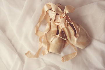 Image showing Posed Pointe Shoes in Natural Light 