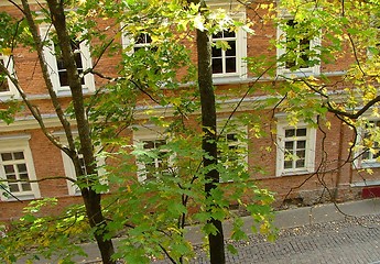 Image showing house visible through leaves