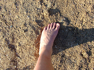 Image showing Leg of the person on the dry lifeless ground