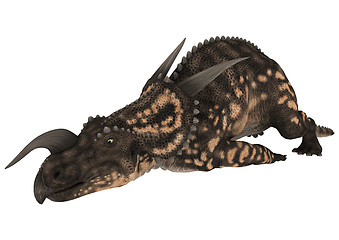 Image showing Dinosaur Einiosaurus