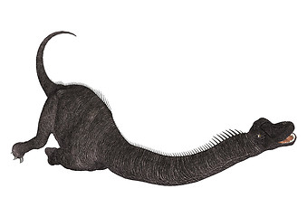 Image showing Dinosaur Brachiosaurus