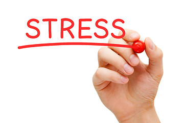 Image showing Stress Red Marker