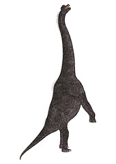 Image showing Dinosaur Brachiosaurus