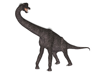 Image showing Dinosaur Brachiosaurus