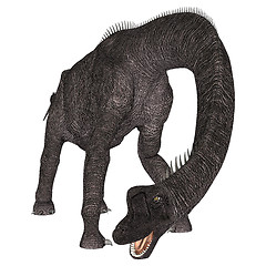 Image showing Dinosaur Brachiosaurus