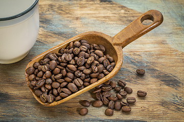 Image showing scoop of coffee beans