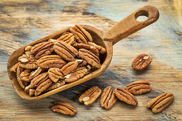 Image showing pecan nuts