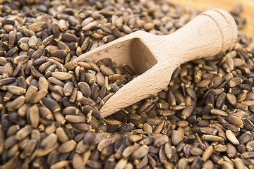 Image showing Seeds of a milk thistle (Silybum marianum, Scotch Thistle, Maria