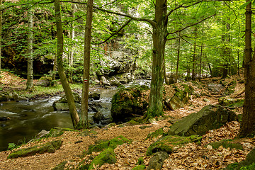 Image showing mountain creek doubrava 