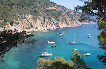 Image showing Mediterranean coast