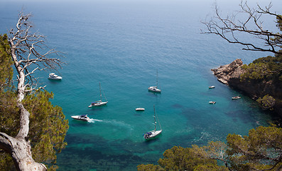 Image showing Mediterranean coast
