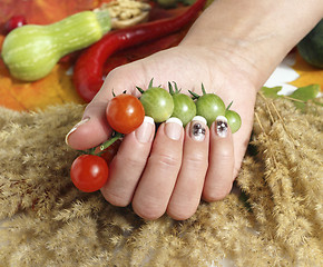 Image showing cherry tomatoes and a woman hand