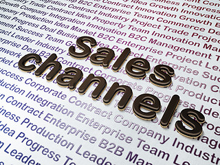 Image showing Marketing concept:  Sales Channels on Business background