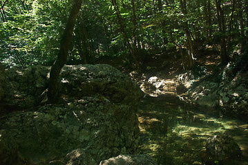 Image showing river Auzun-Uzeni