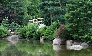 Image showing Lush Japanese Garden