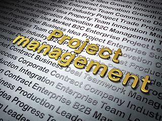 Image showing Finance concept: Golden Project Management on Business background