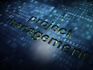 Image showing Finance concept: Project Management on digital screen background