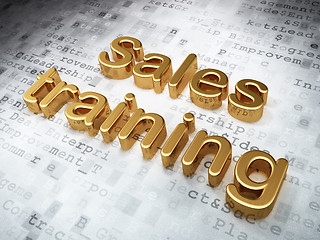 Image showing Advertising concept: Golden Sales Training on digital background