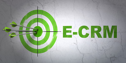 Image showing Finance concept: target and E-CRM on wall background