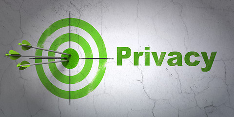 Image showing Protection concept: target and Privacy on wall background