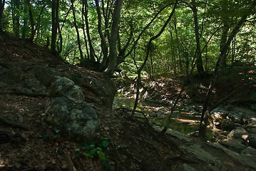 Image showing river Auzun-Uzeni