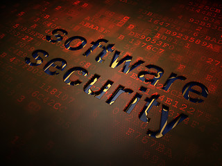 Image showing Privacy concept: Software Security on digital screen background