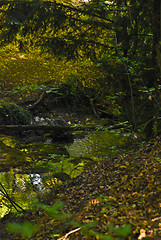 Image showing river Sary-Uzeni