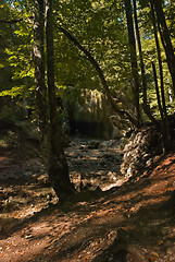 Image showing Silver waterfall