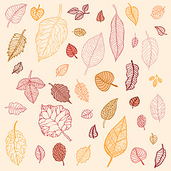 Image showing Autumn leaves  set