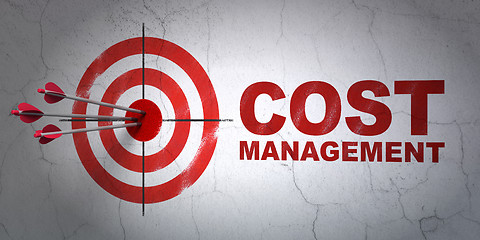 Image showing Business concept: target and Cost Management on wall background