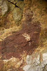 Image showing Rock face detail, sand point beach England, uk