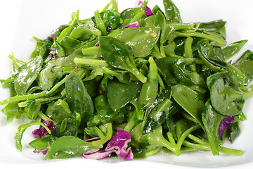 Image showing Chinese Food: Fried wild vegetables