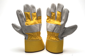 Image showing work gloves