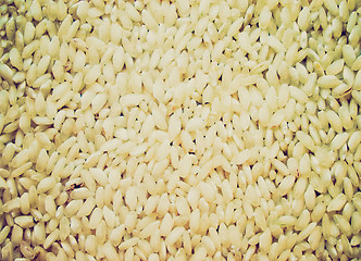 Image showing Retro look Rice picture