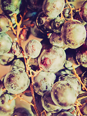 Image showing Retro look Grape