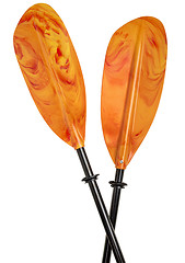 Image showing colorful kayak paddle