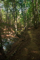 Image showing river Sary-Uzeni