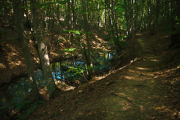 Image showing river Sary-Uzeni