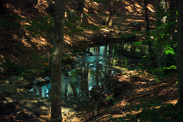 Image showing river Sary-Uzeni