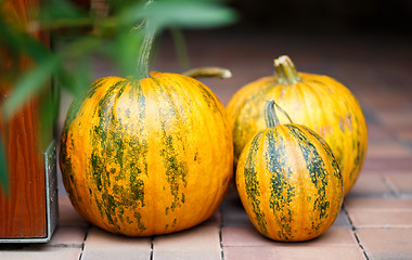 Image showing Seasonal Pumpkins