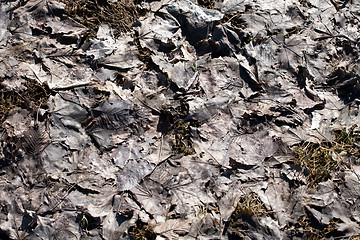 Image showing mud rotten leaves pattern