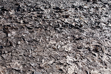 Image showing mud rotten leaves pattern