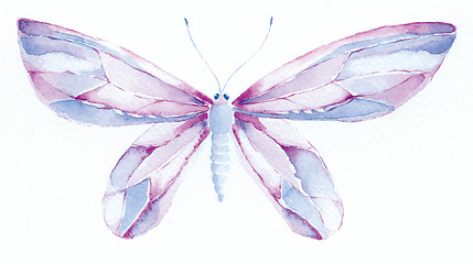 Image showing fantasy butterfly