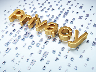 Image showing Security concept: Golden Privacy on digital background